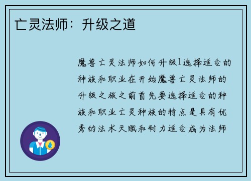 亡灵法师：升级之道